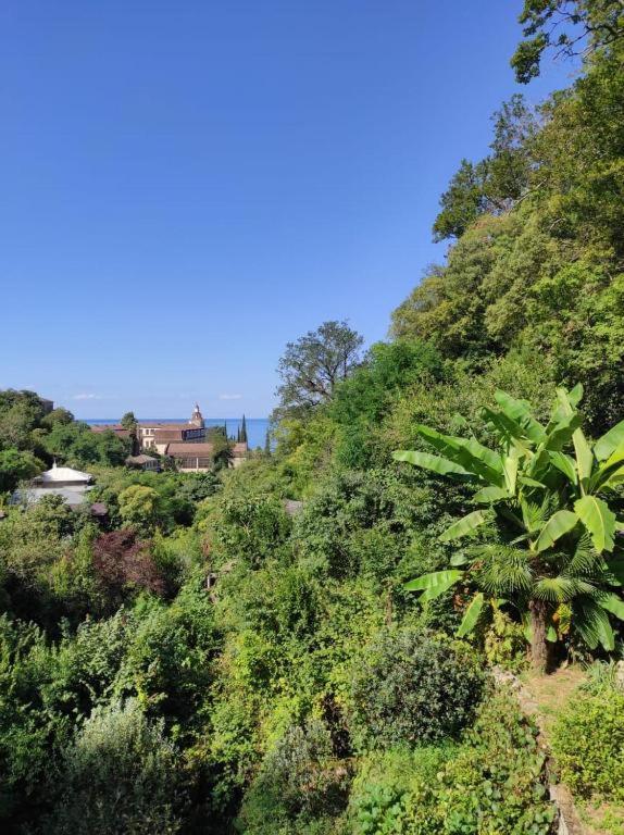 Guest House Chalet Agave Gagra Buitenkant foto