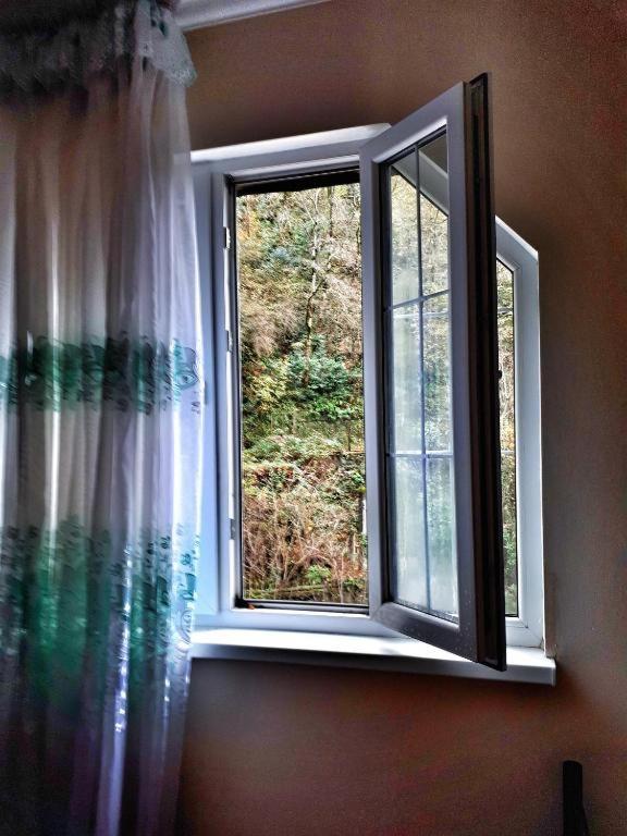 Guest House Chalet Agave Gagra Buitenkant foto